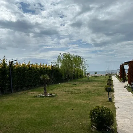 מלון Grape Ezine