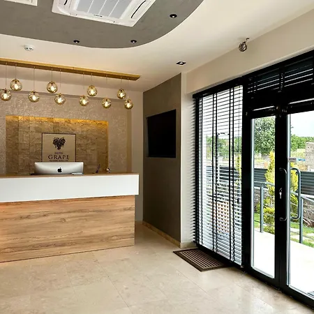 Grape מלון Ezine